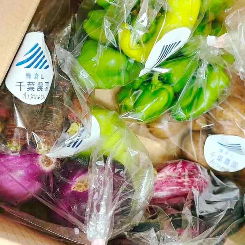 お野菜の栽培・出荷の様子