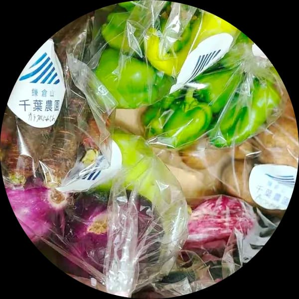 野菜の栽培・出荷の画像