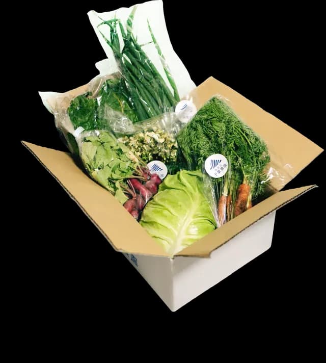 旬のお野菜が入った定期便ボックス